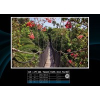 Фотообои на бумаге 250P8 Джунгли