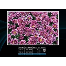 Фотообои на бумаге 3405P8 Клумба пионов