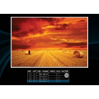 Фотообои на бумаге 414P8 Поле