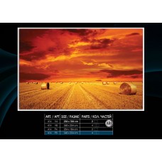 Фотообои на бумаге 414P8 Поле
