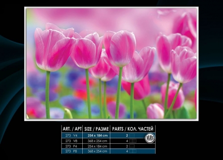 Фотообои на бумаге 273P8 Розовые тюльпаны
