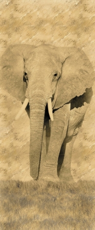 Фотопанно на флизе Слон