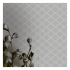 Обои Carlo Conti Allure Home AD1973